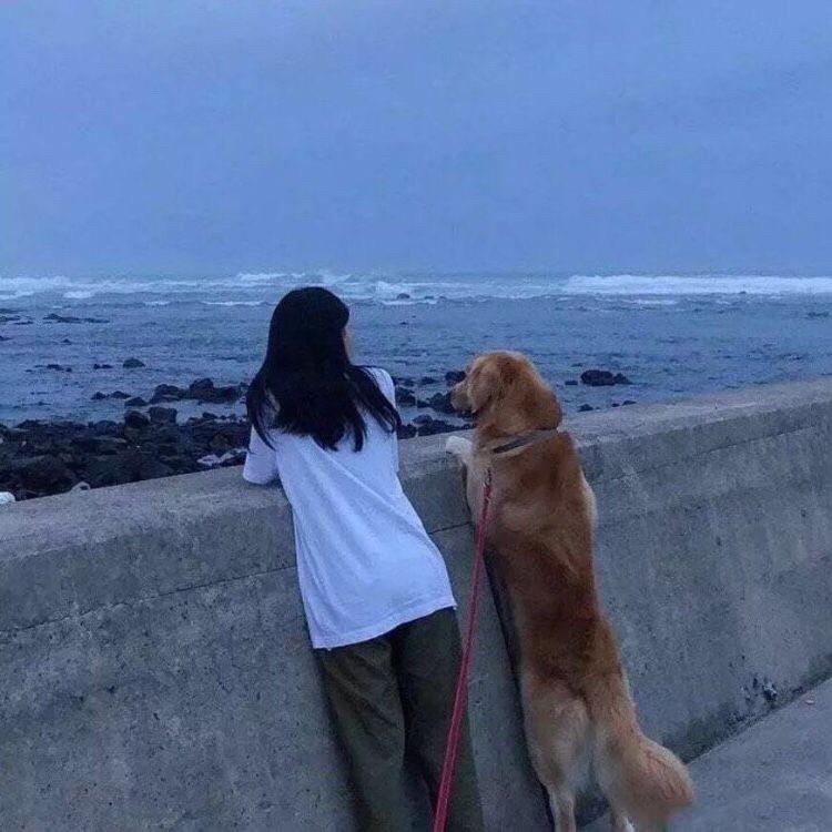 鹤归孤山