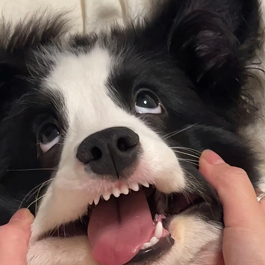 ♡