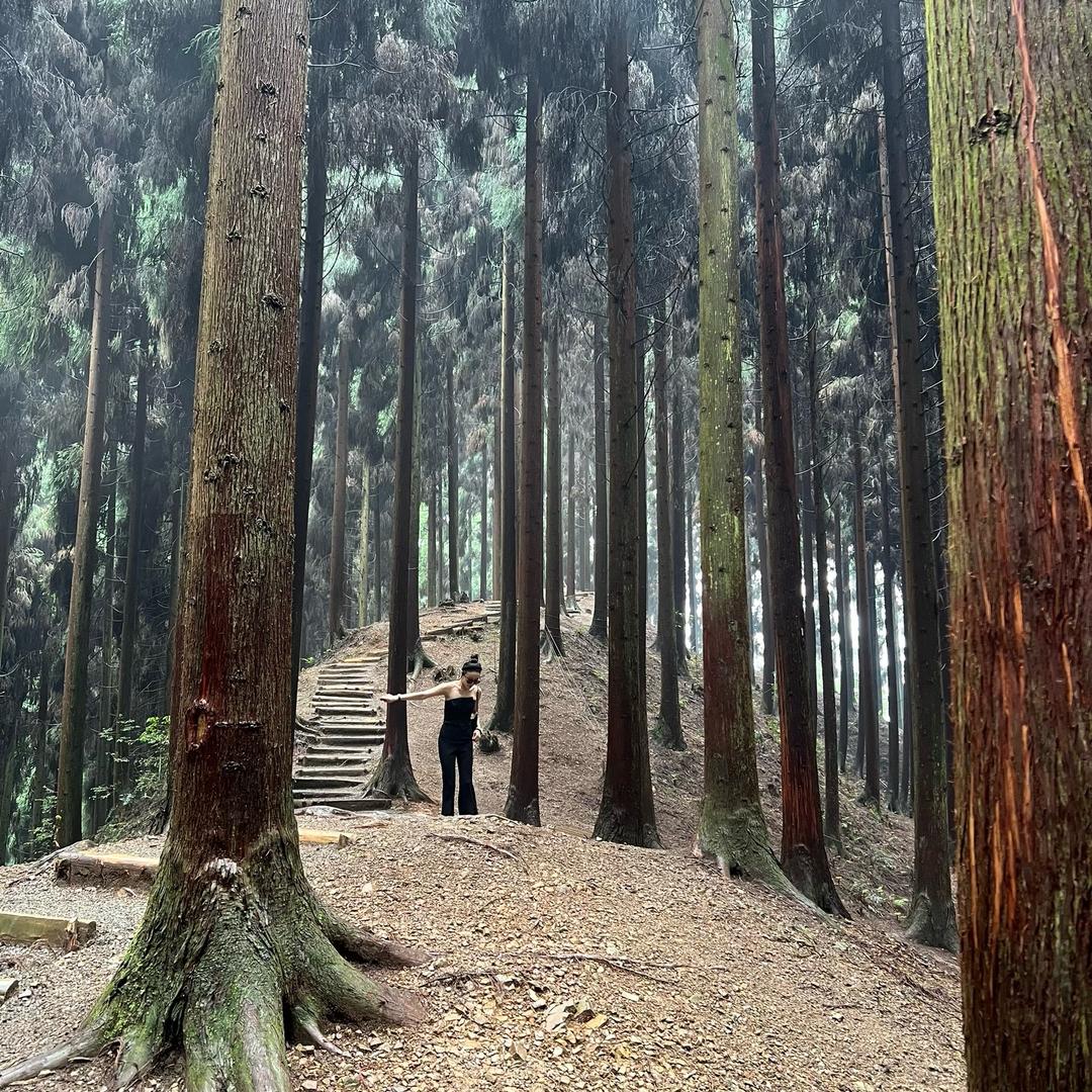 小小