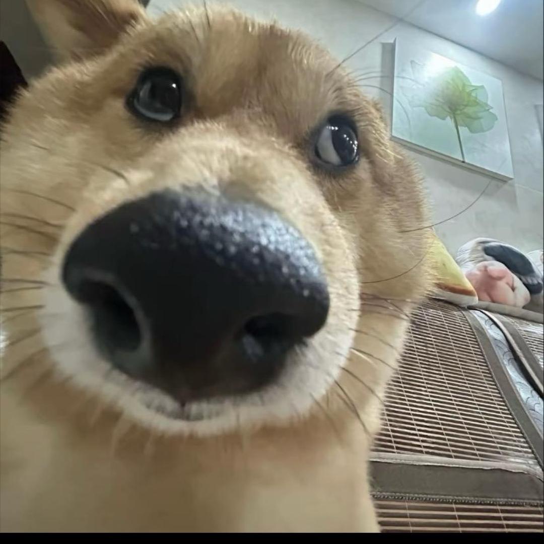他