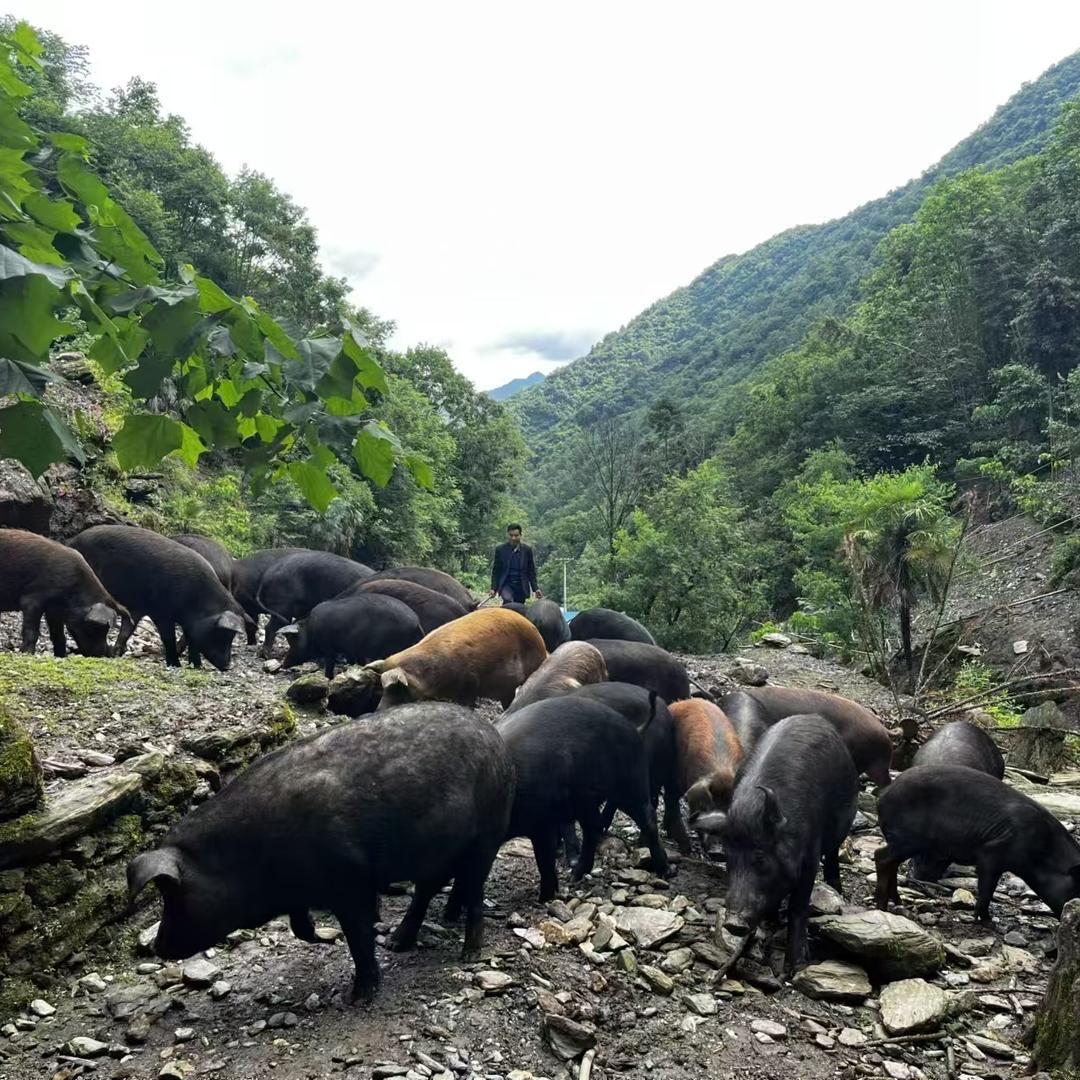 带你感受小时候的味道