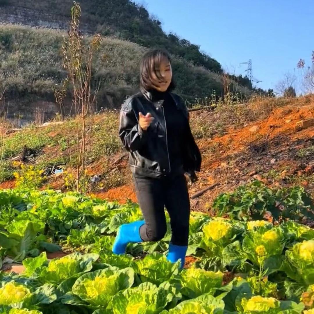 菊妹农产品