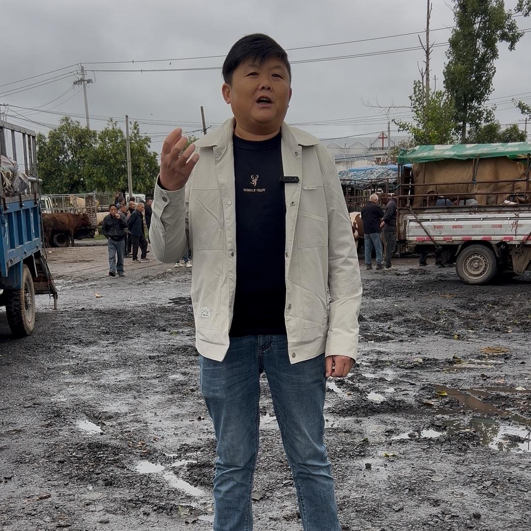 李磊逛牛羊（牛老弟）