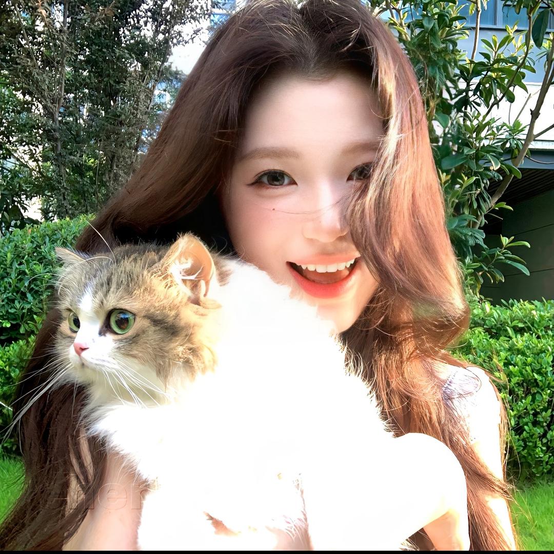 秦菜炒又