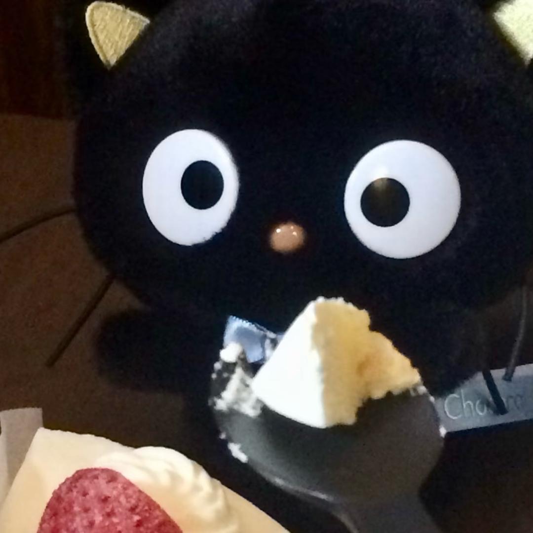 巧克力脑袋（不上镜版）