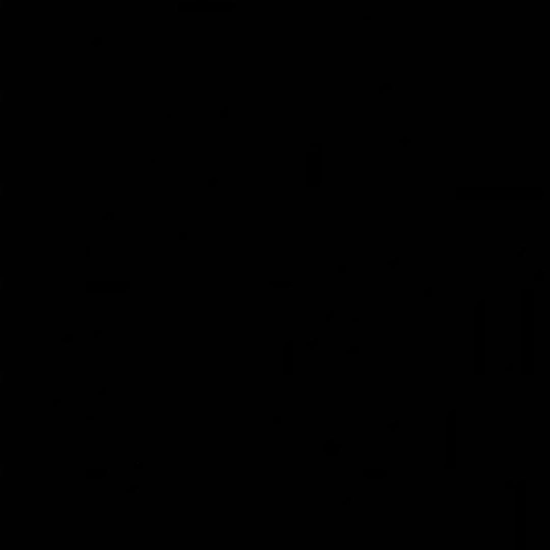 小志
