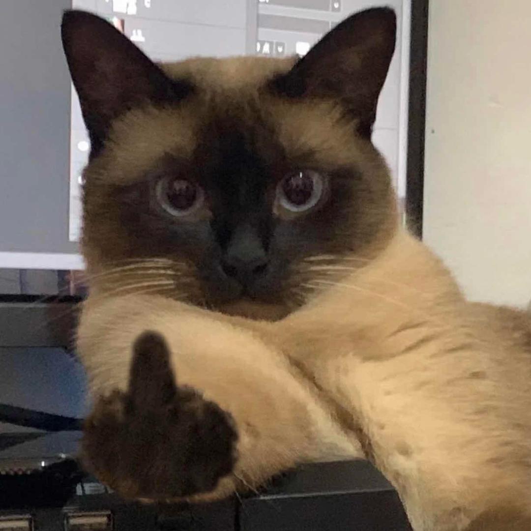 算了你肯定觉得没意思