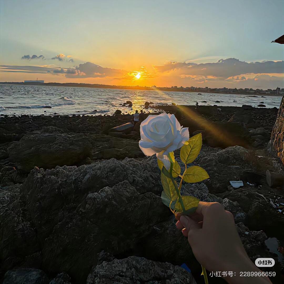 一一说情感