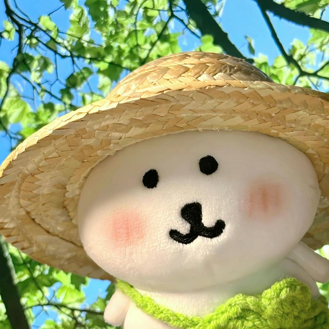 六块钱