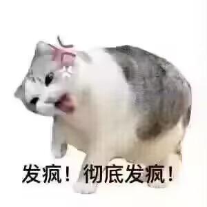 别问我骑什么车了！新日新日新日新日电动车