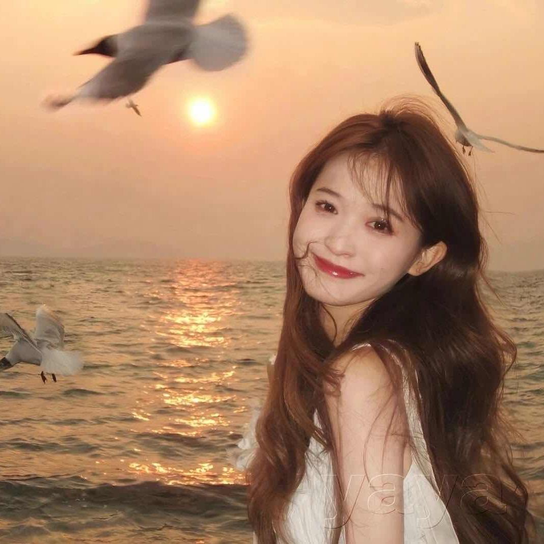 愚小锅-大陈🫧