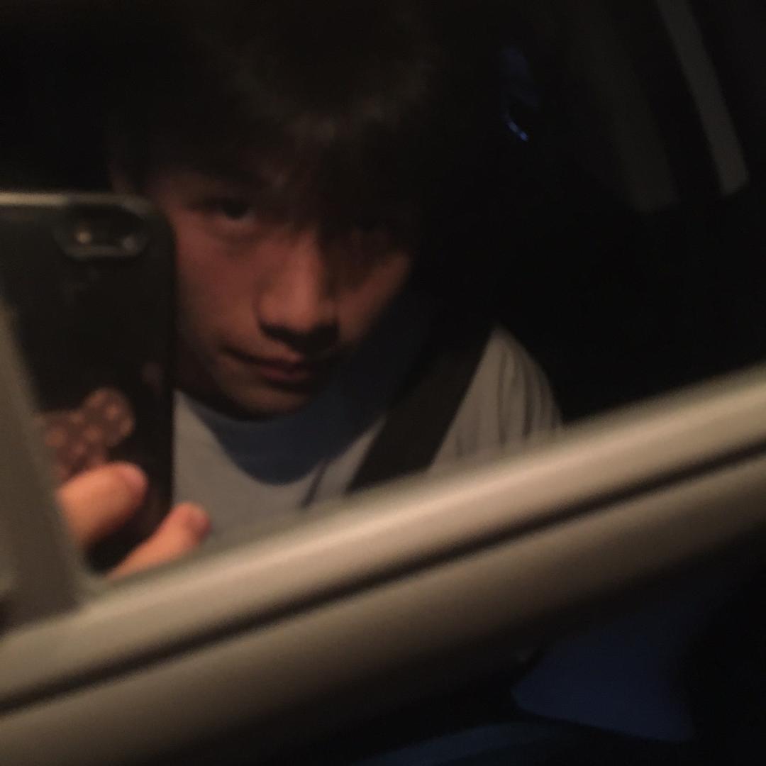 树泽🌲