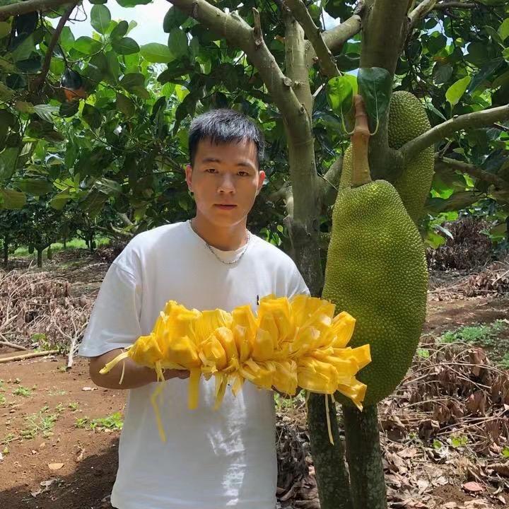 曾哇塞·热带水果供应链