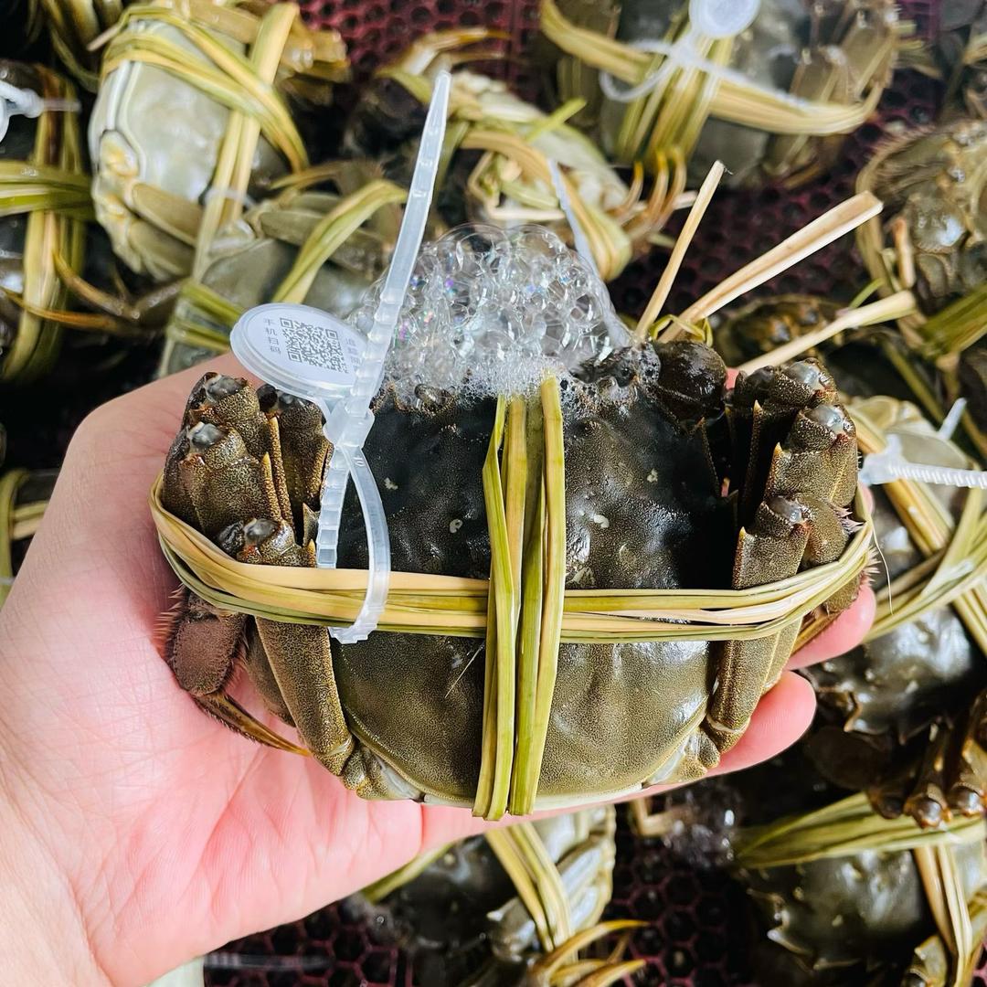 山海荟江苏大闸蟹