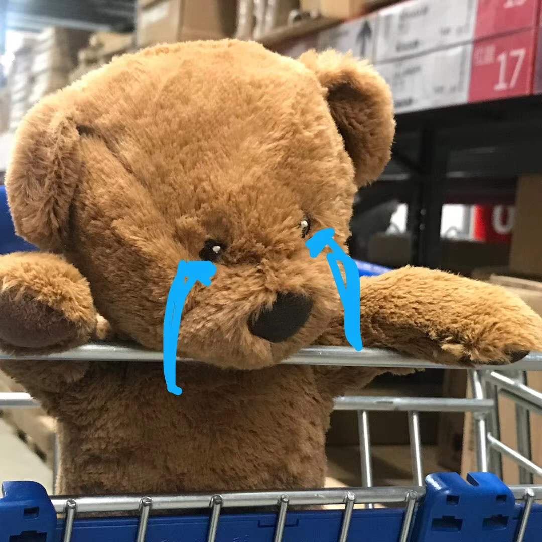 钟钟Zzz