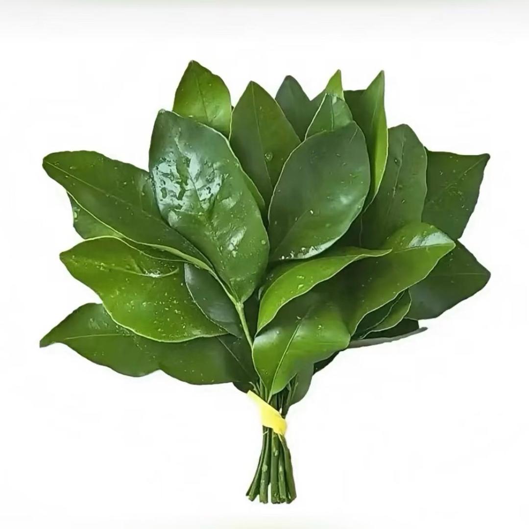 -金伊📸（约妆约拍版)