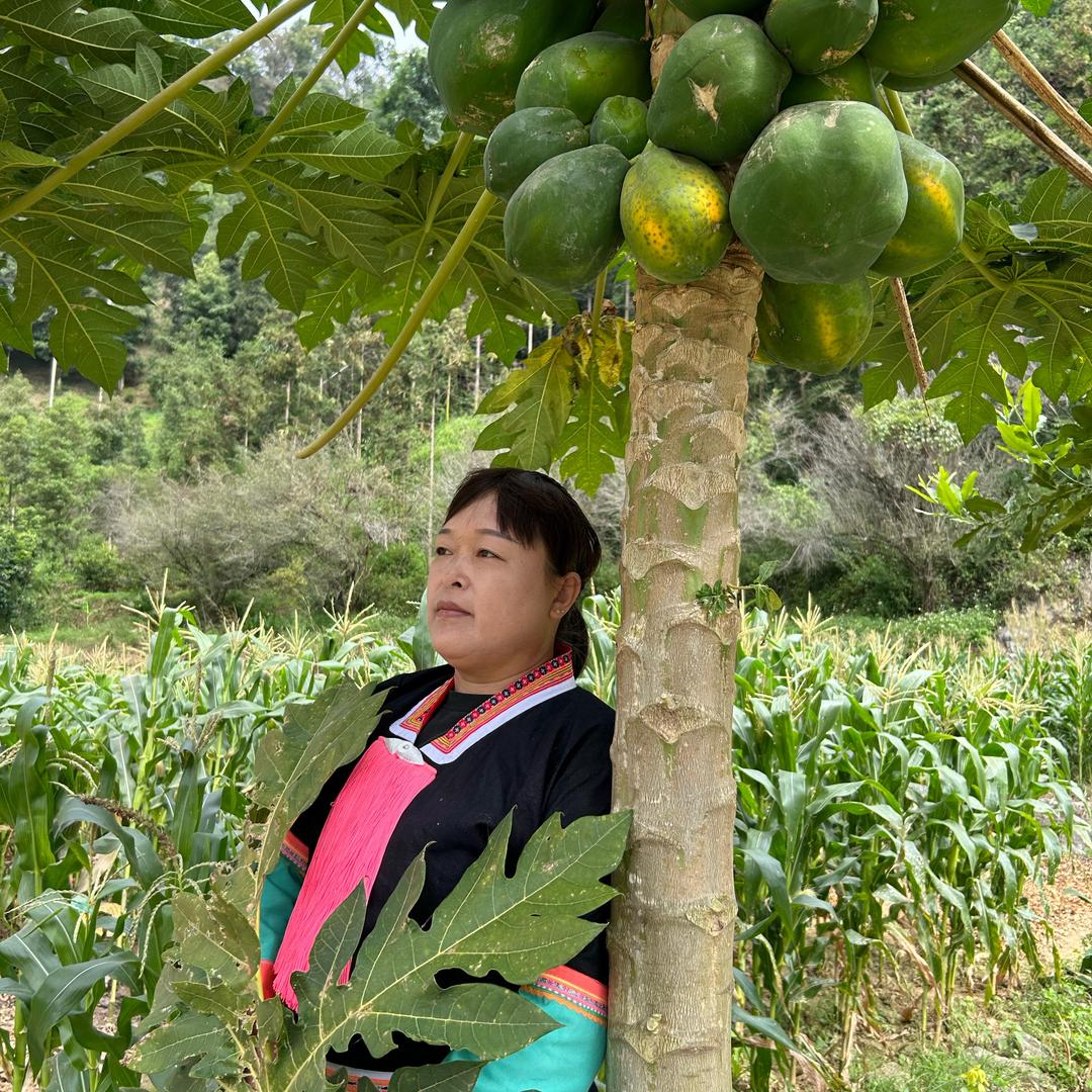 广西罗姐土特产