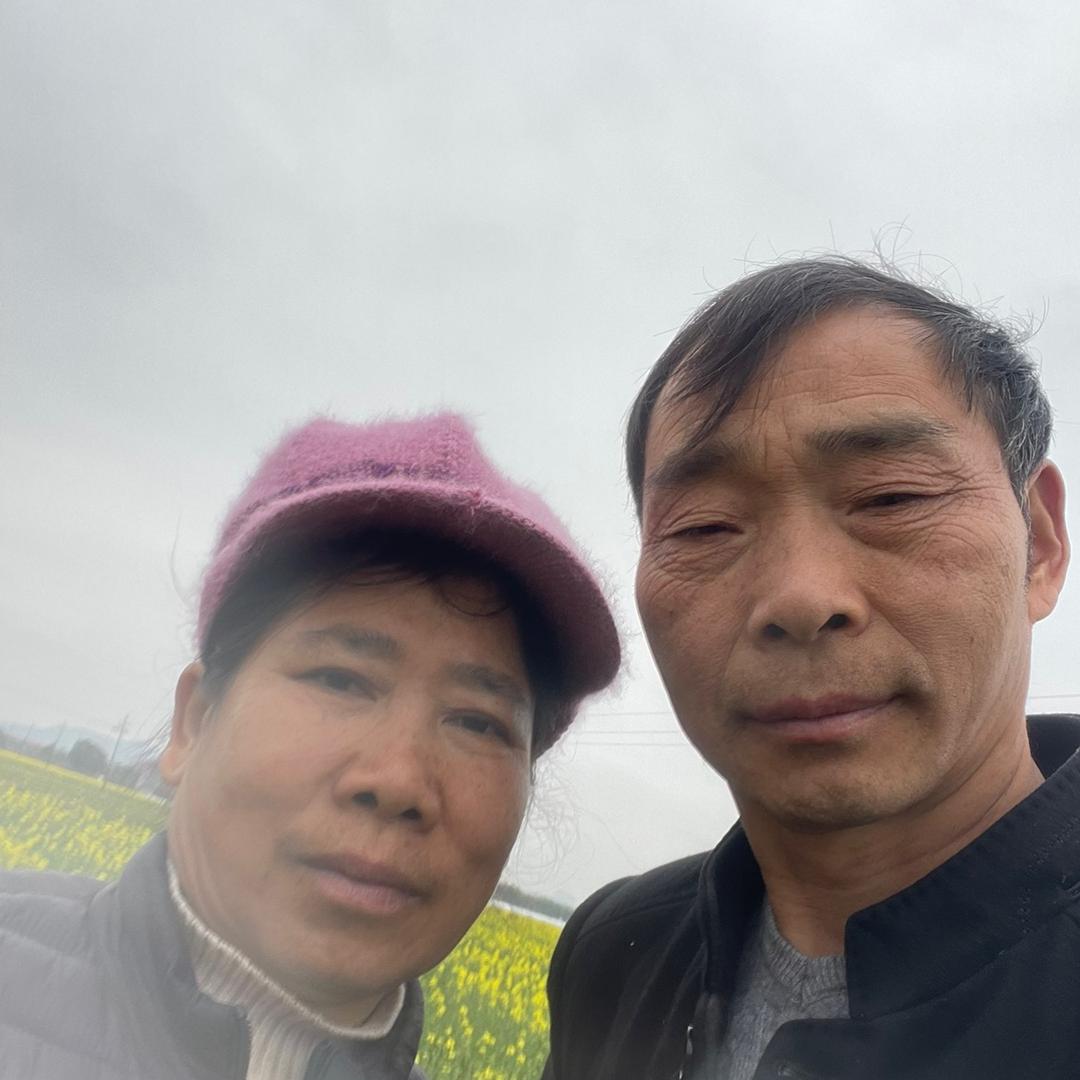 伙伴