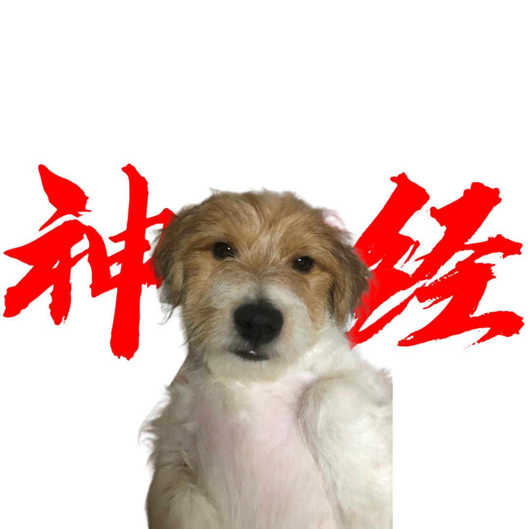 啊肥之更