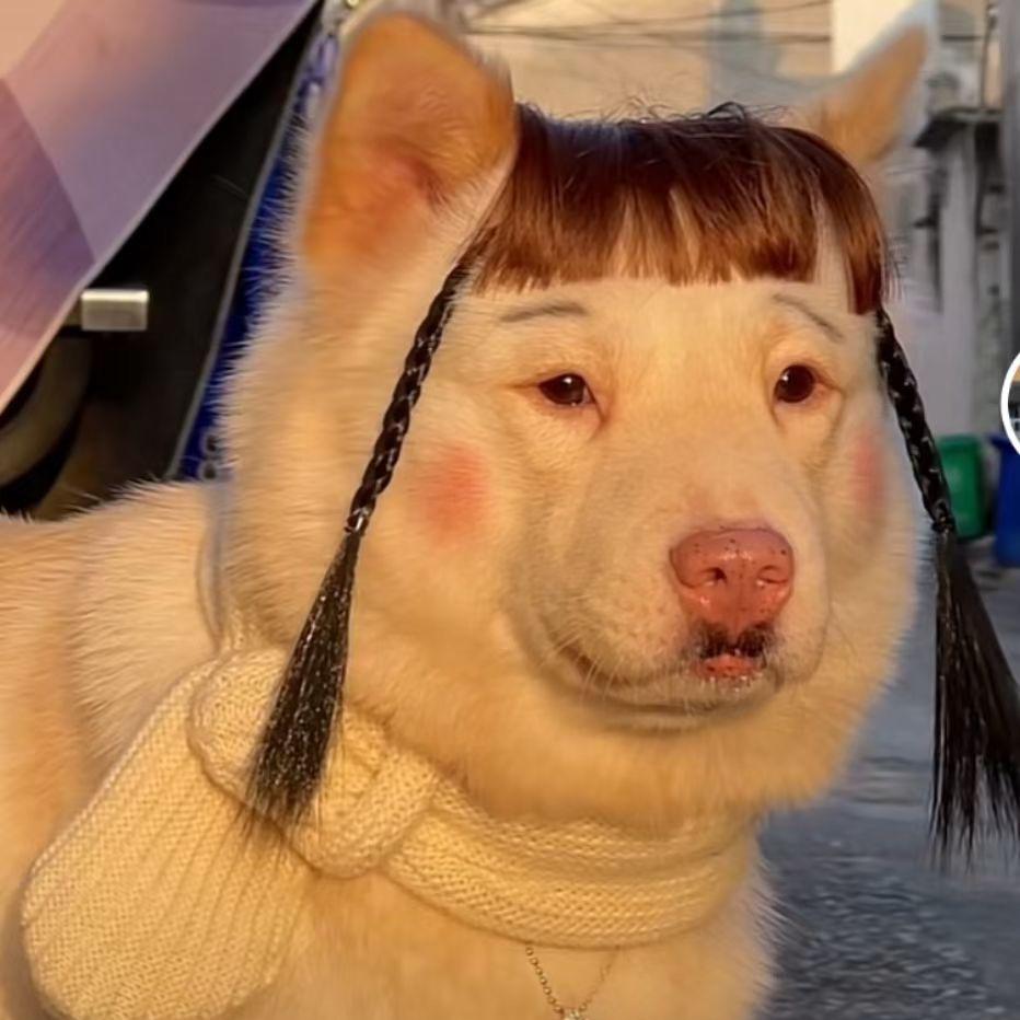 孙富贵