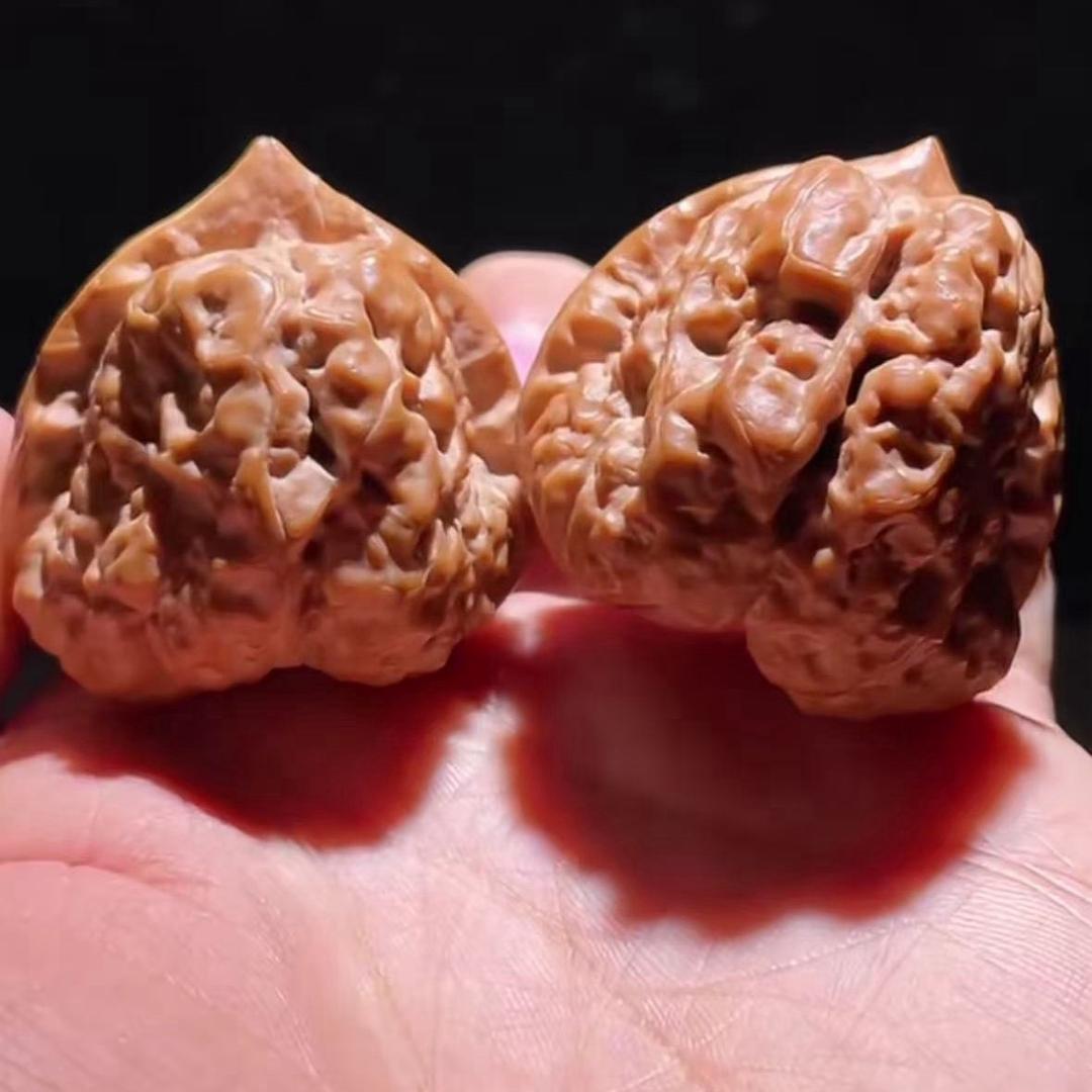重生之蓝星卖核桃3197