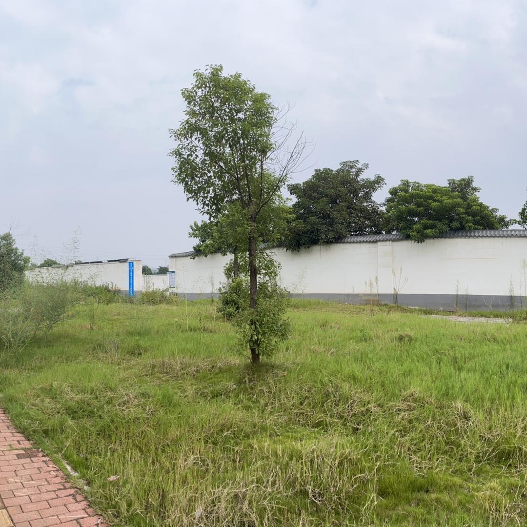 甜甜爱旅行✈️