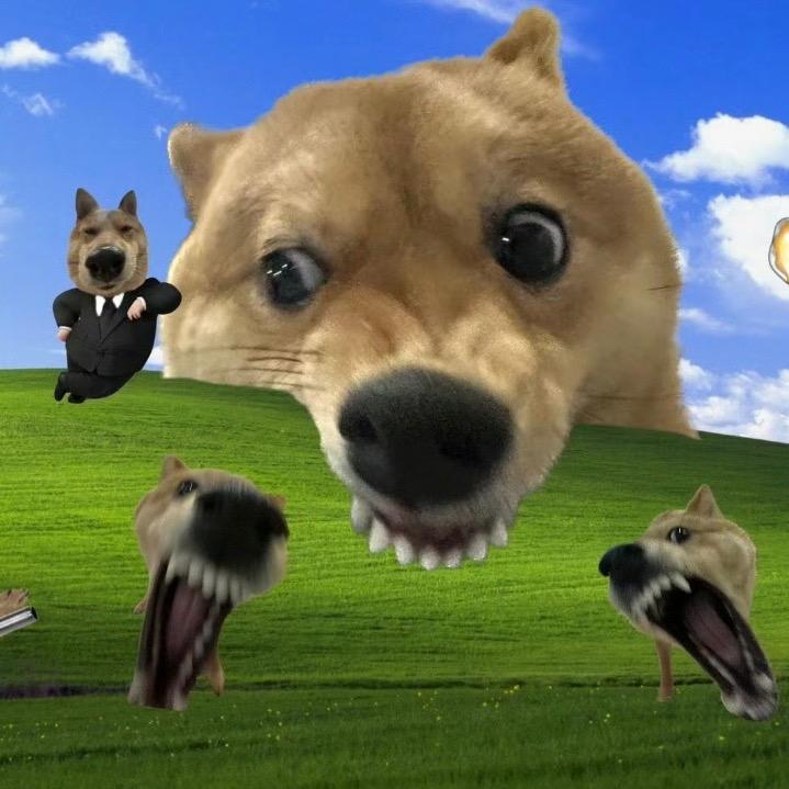 西莓