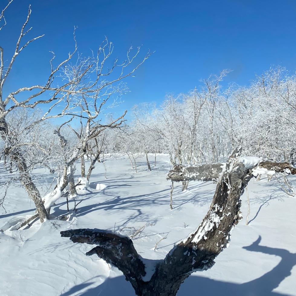 世界上最难认识的就是你自己