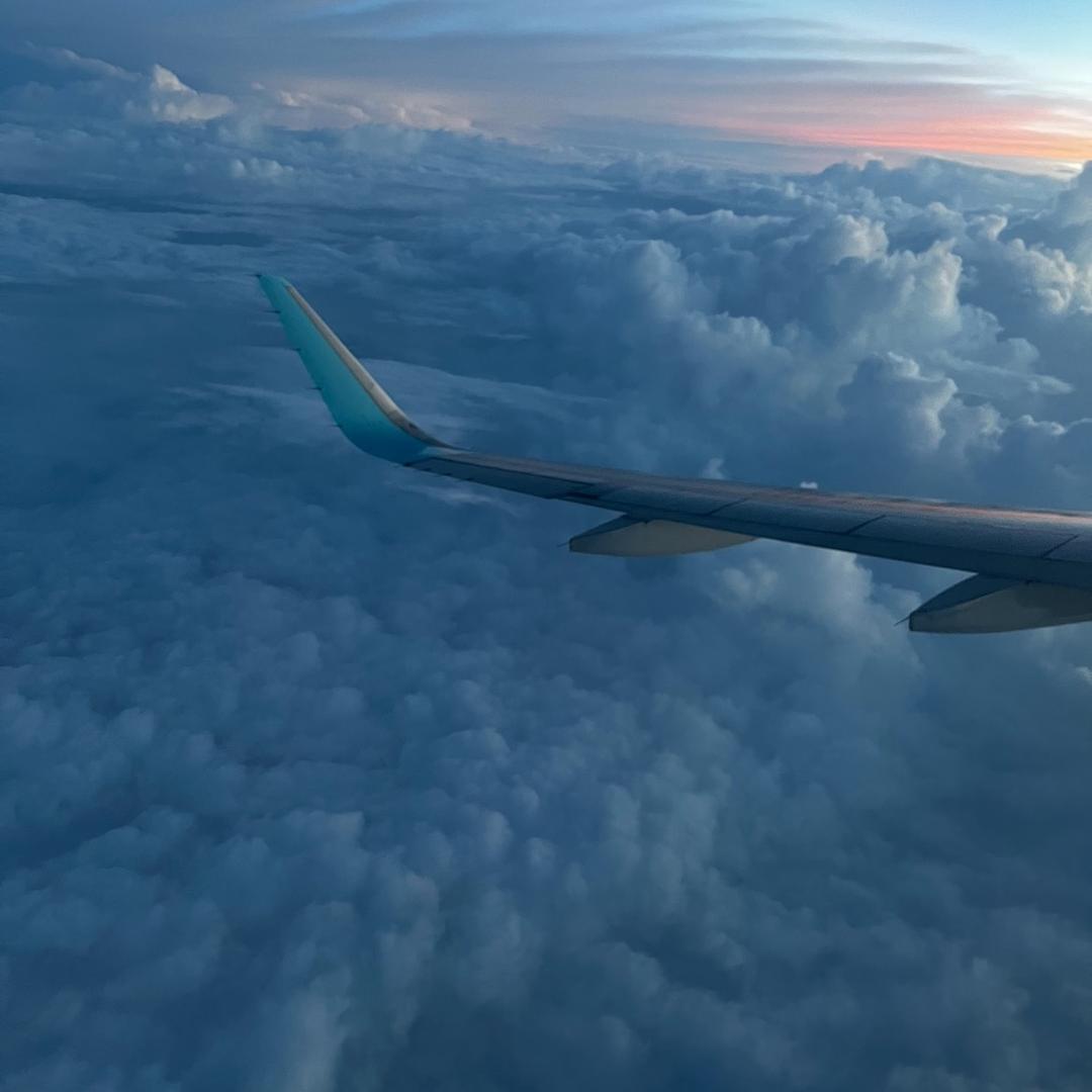 泡泡弟（睡觉中）