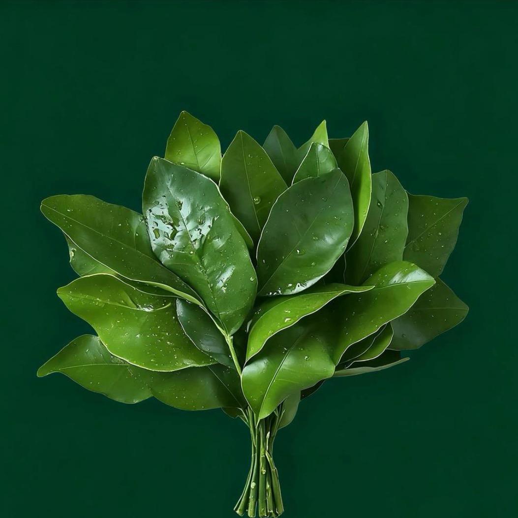 徐虎鹏DutchEastIndiaCompanyAIIB