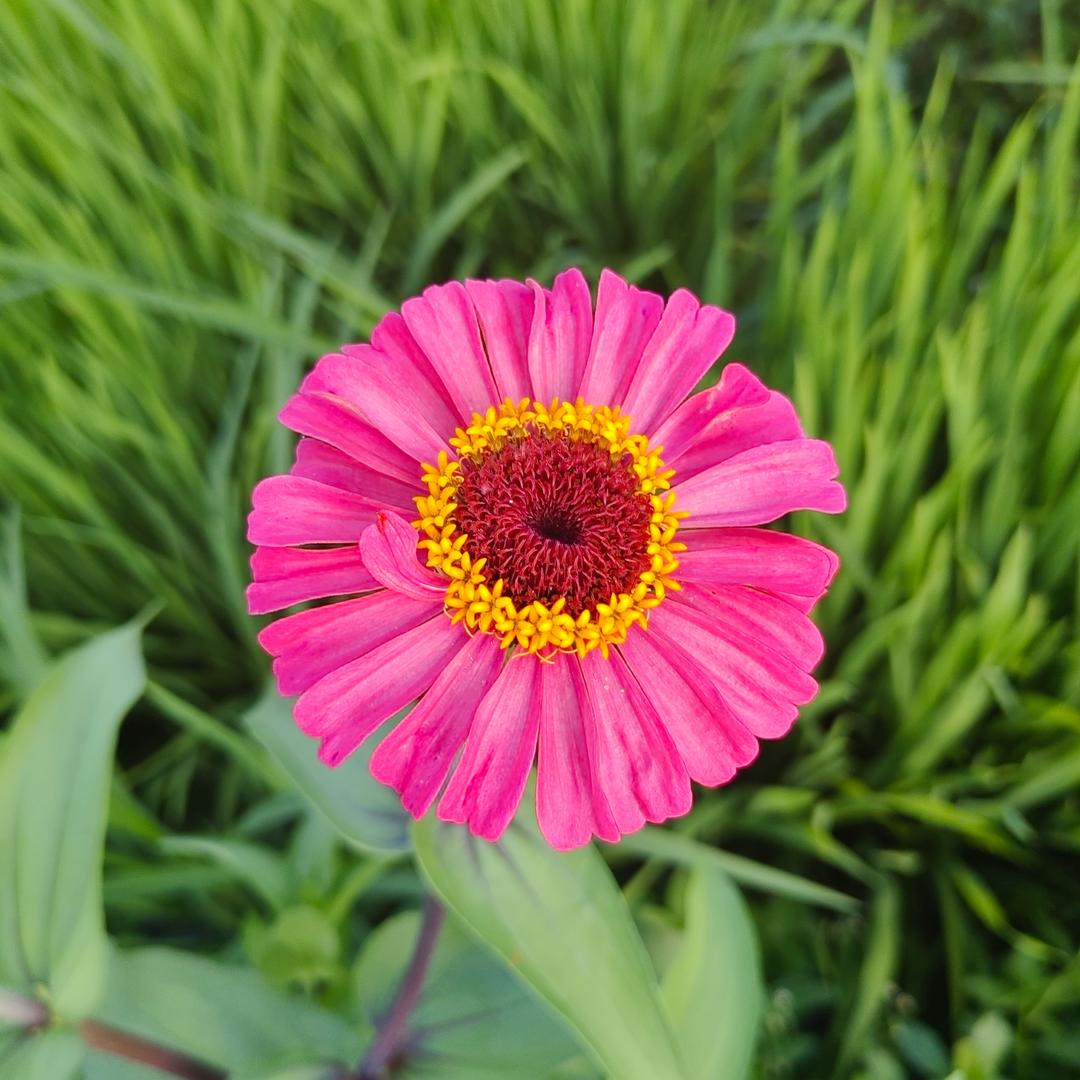 小财迷@拒绝连赞