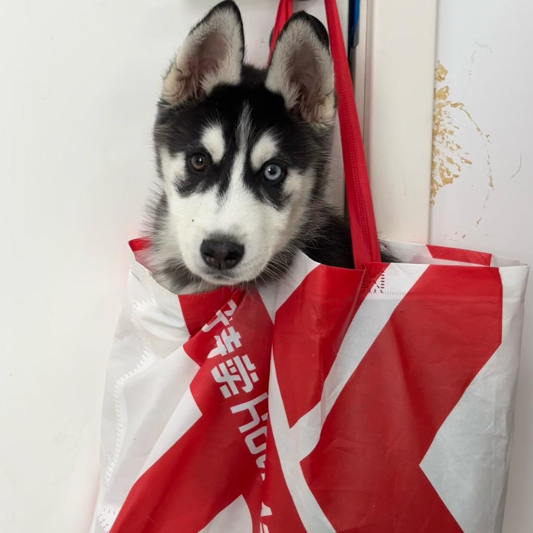 家具维修美容培训文老师