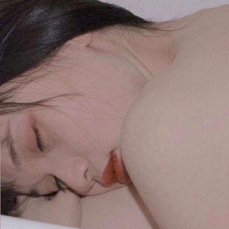 摆烂小猫