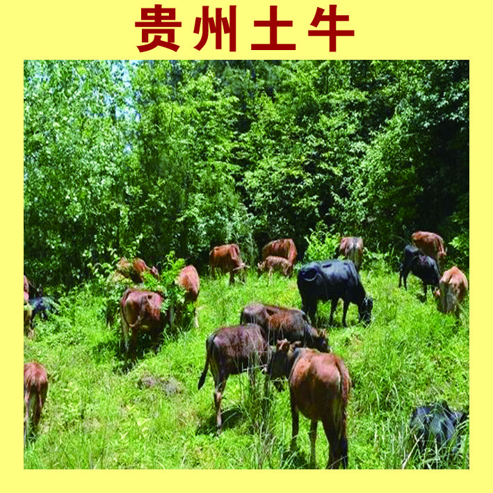 贵荣多元商品小铺