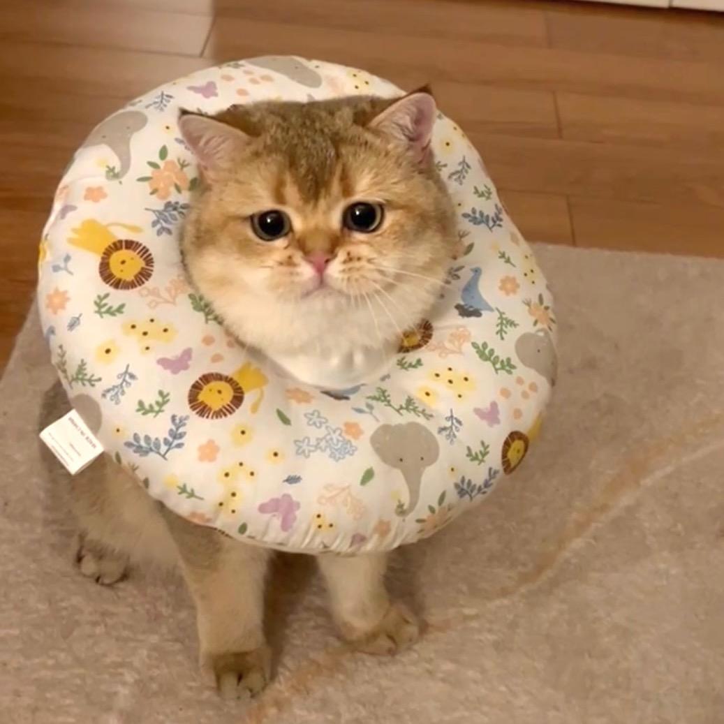 今天很哇塞