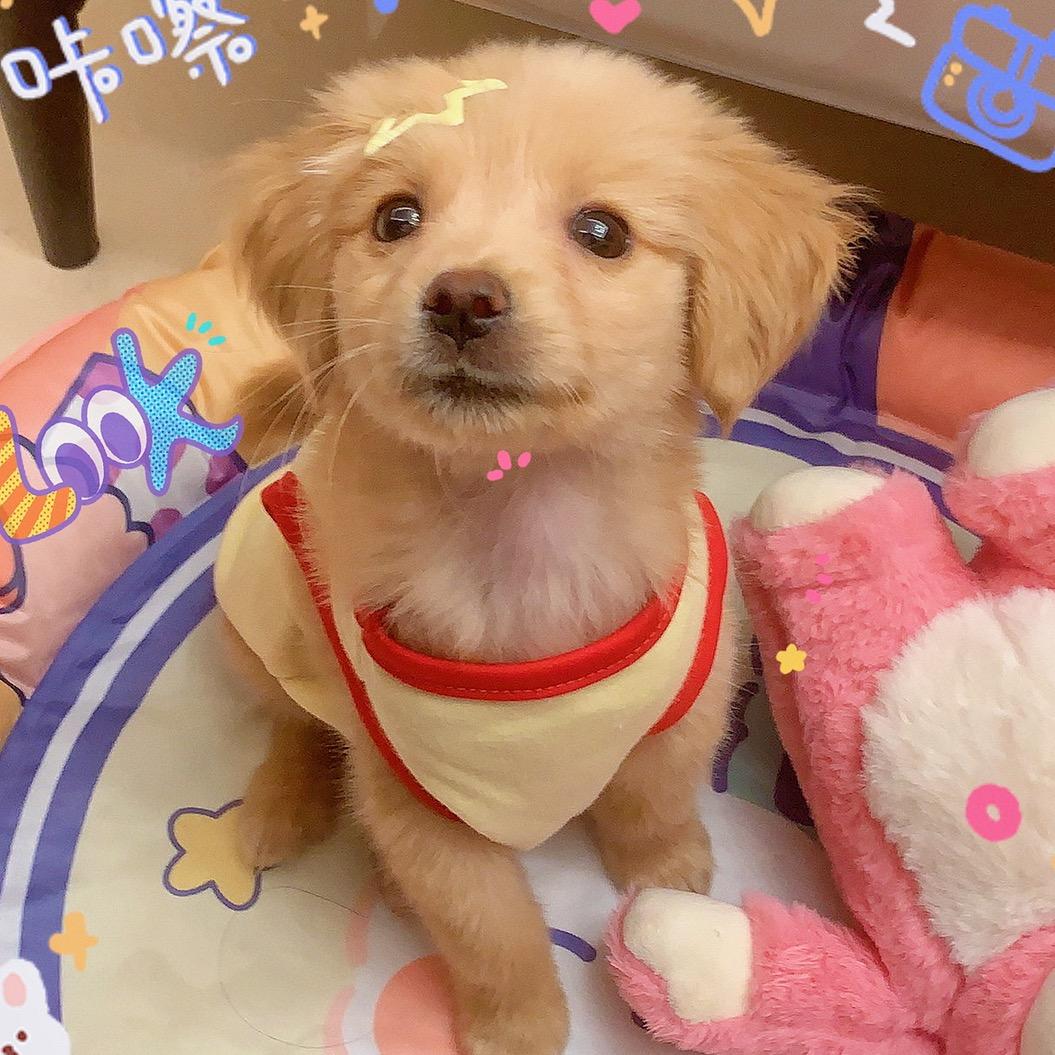 钱多多的小时候