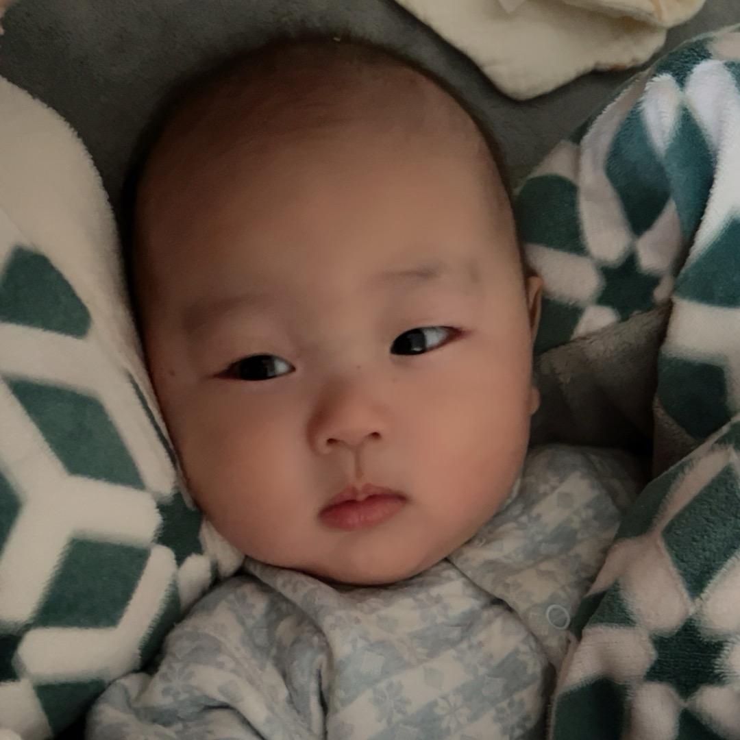 蛋蛋光头强