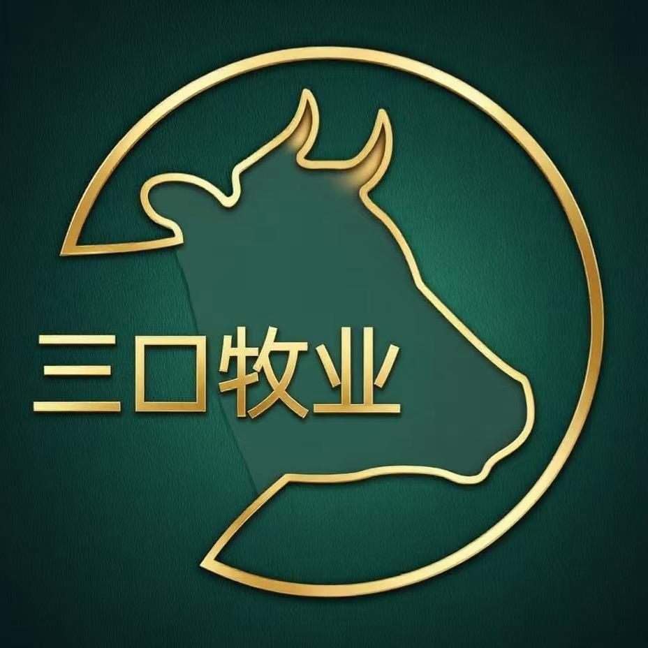 张北牛市老崔