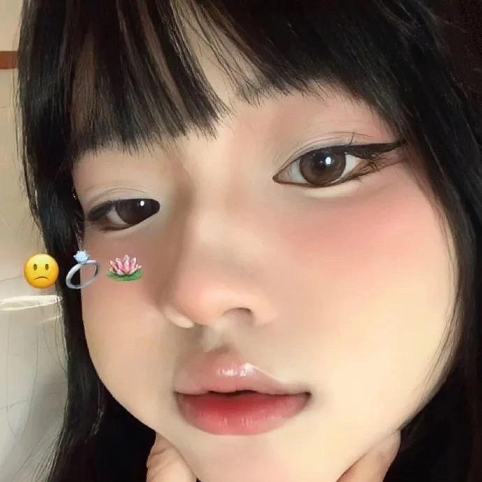 巴黎在逃圣母