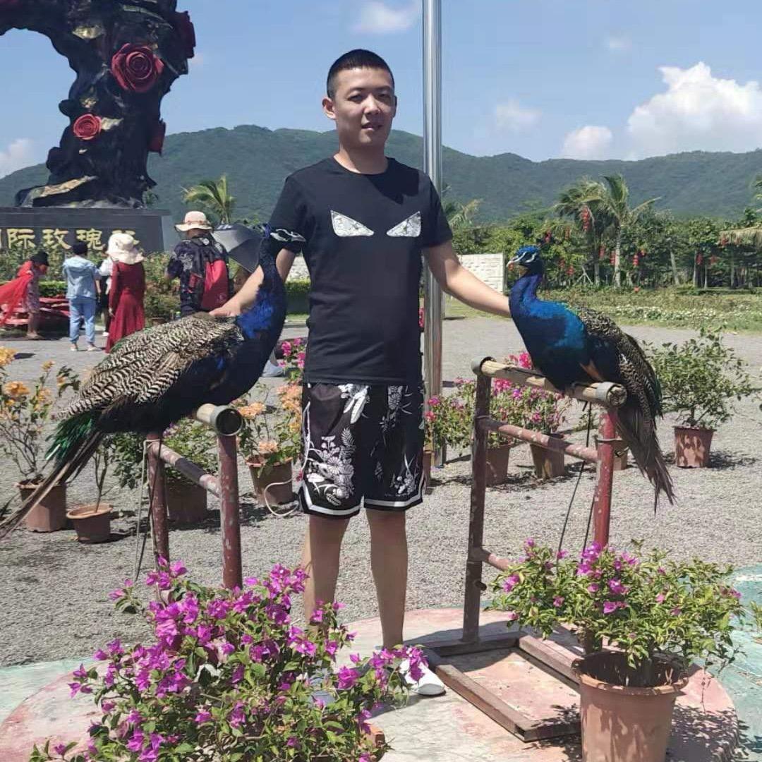 干就完了