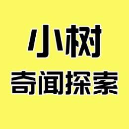 小树奇闻探索号