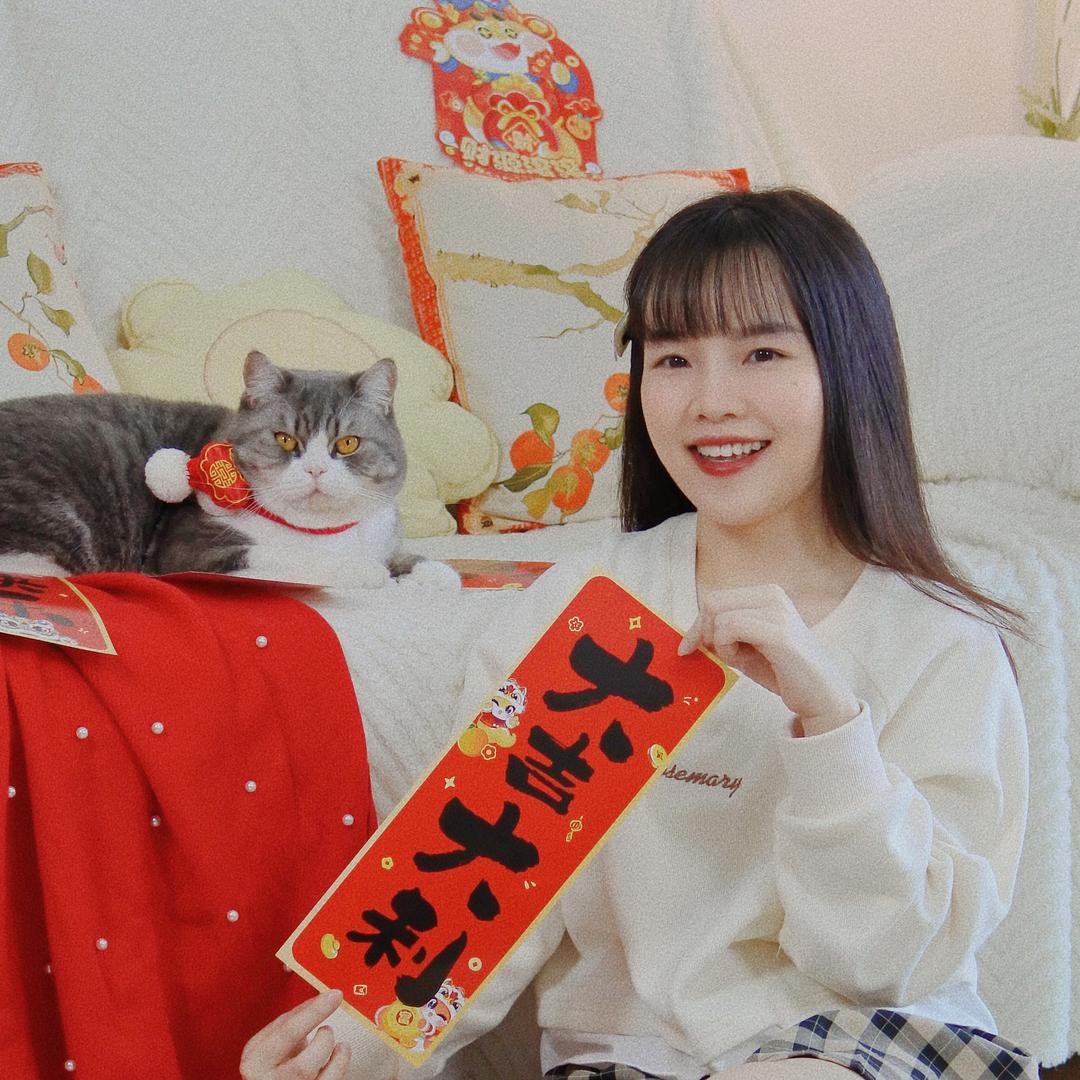 馋猫小胖丁