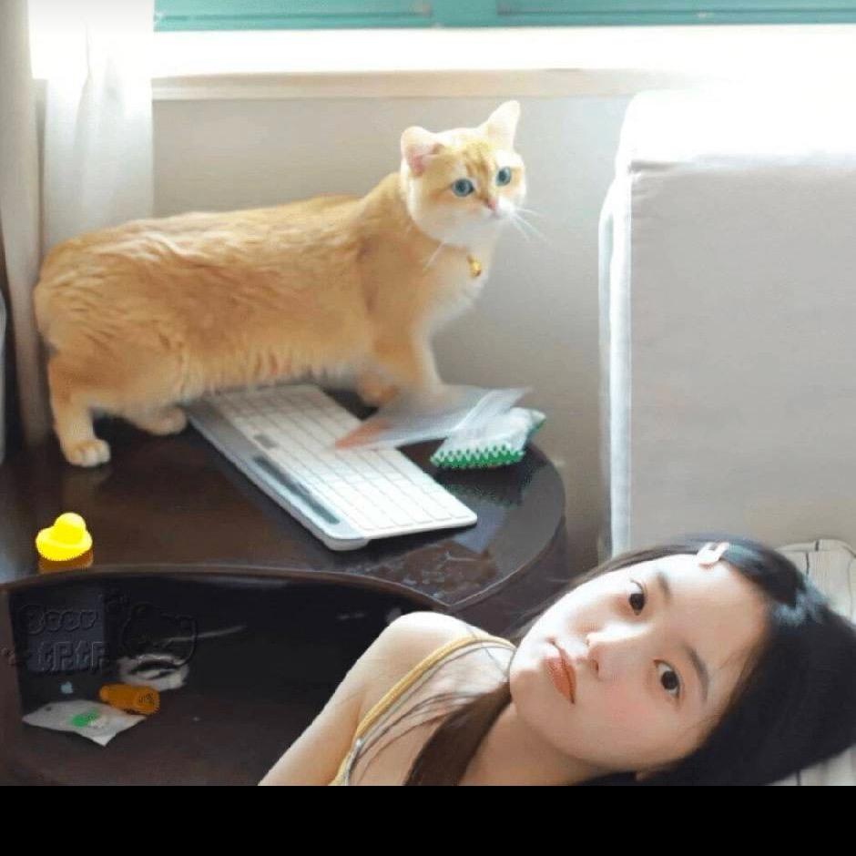 碎碎椰子露❤︎