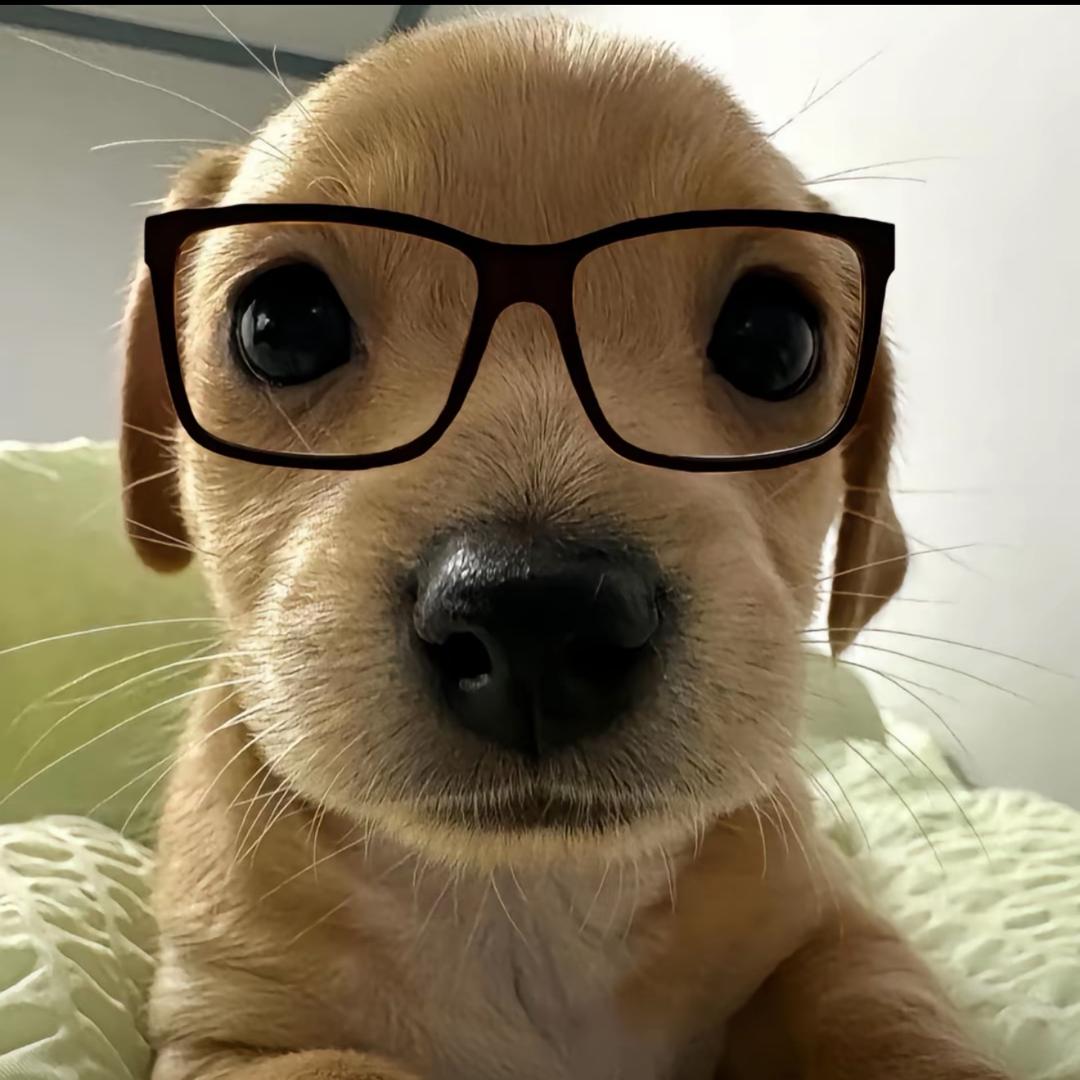 孙氏大摆拳唯一继承人