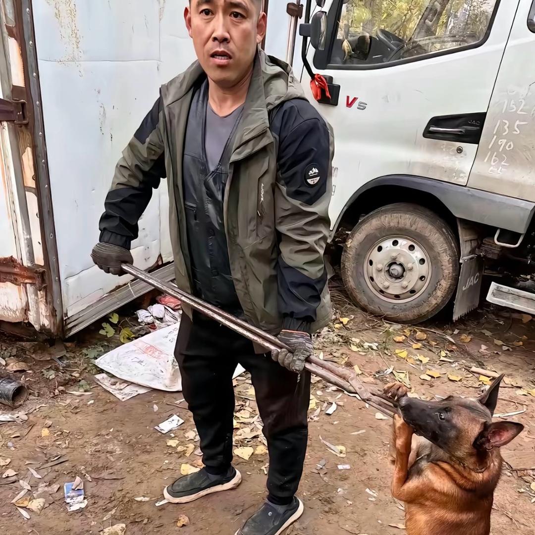 AAA专业套狗刘师傅（看到舔狗一律套走）