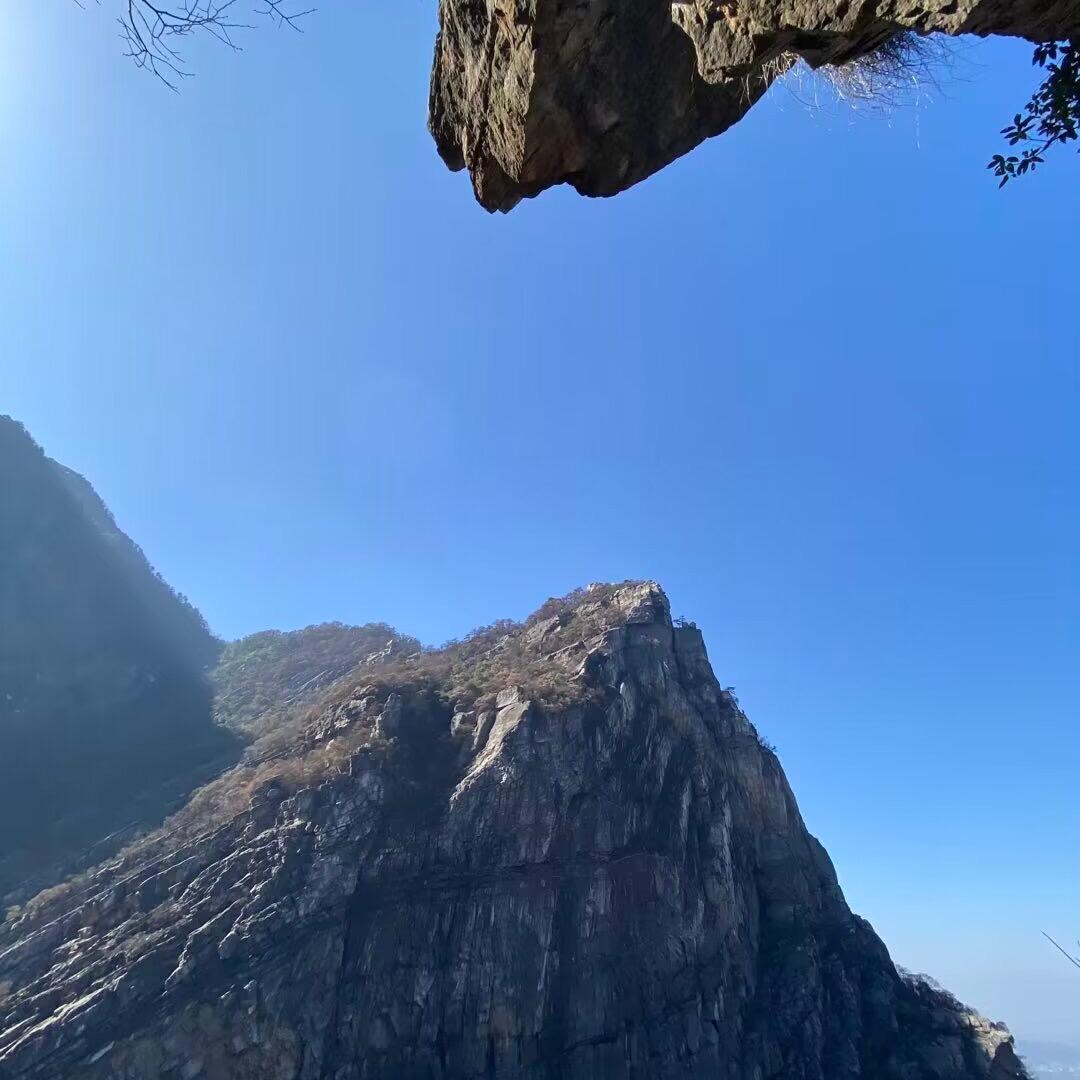 小涛
