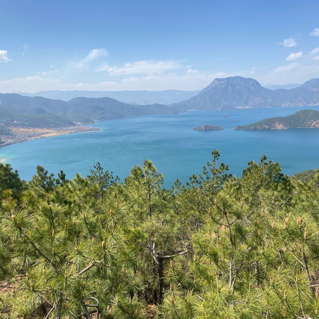 天津意诚博顺二手车销售有限公司