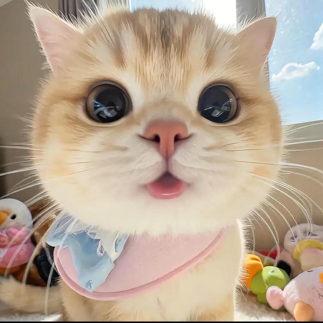 兮远儿