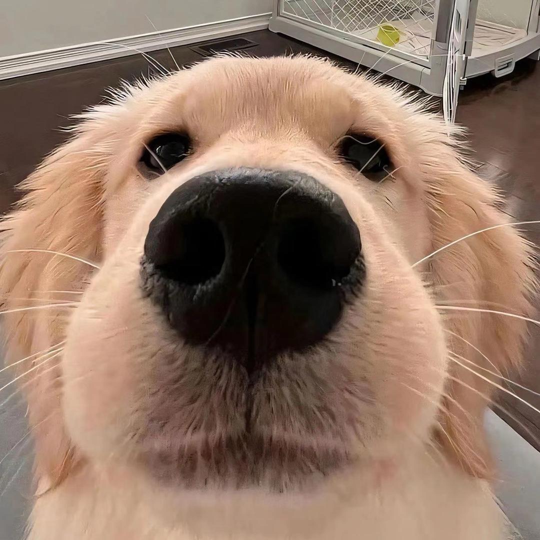 a陈一定要瘦（已瘦55斤）