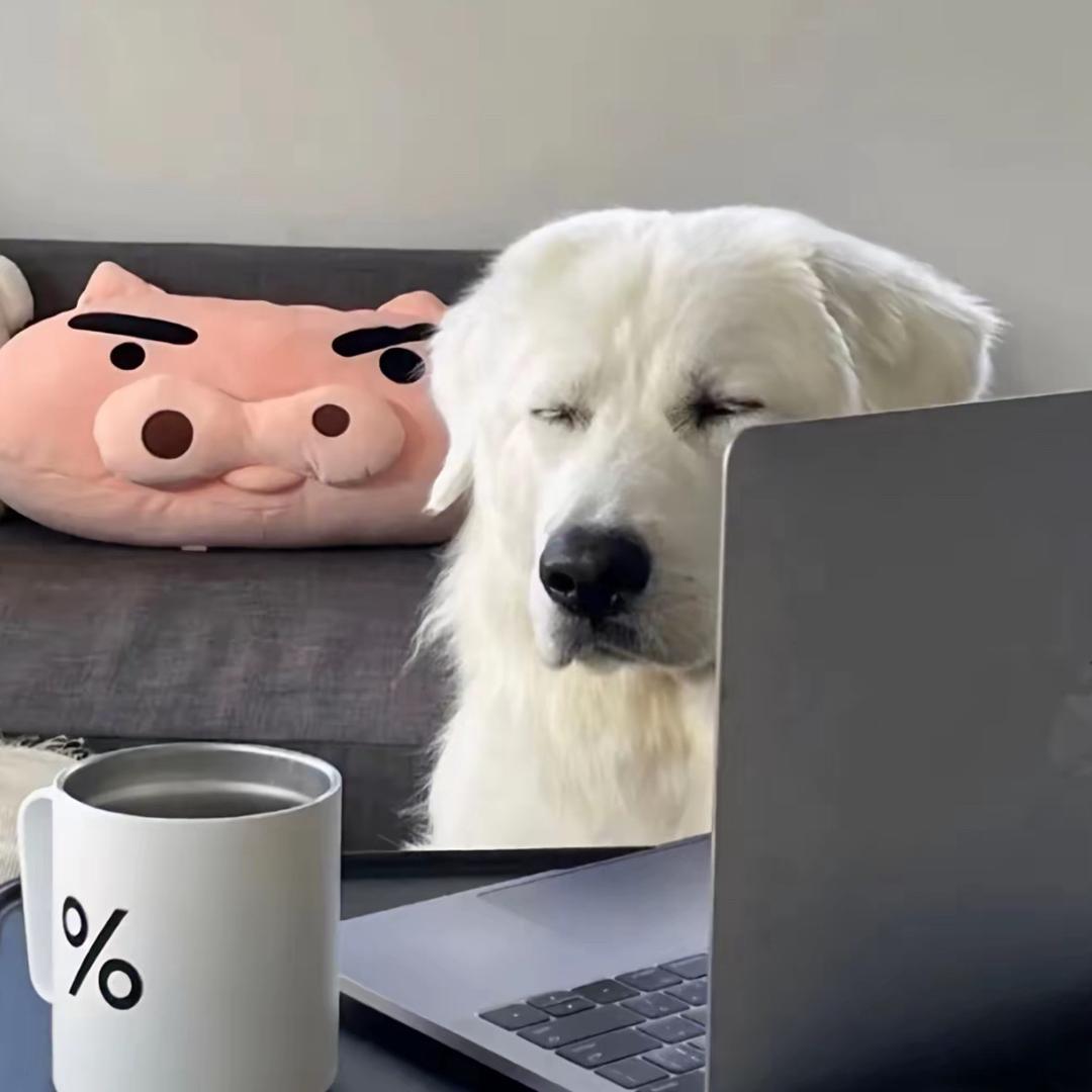 是陳伟欣呐ᝰꫛꫀ